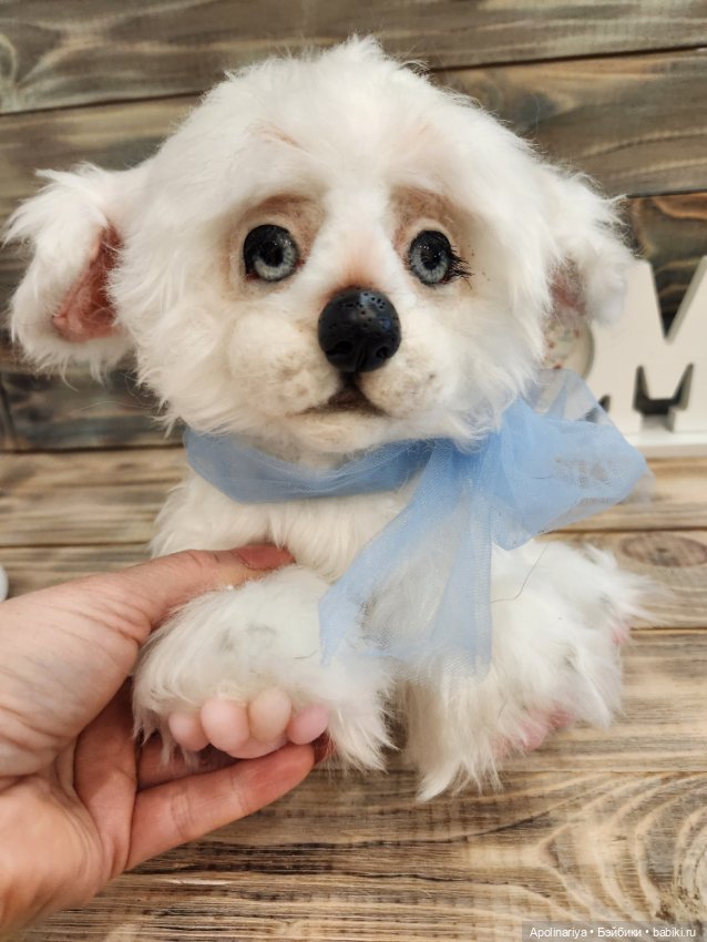 Барфи-белый щенок — Авторские мишки Тедди и друзья: фото
