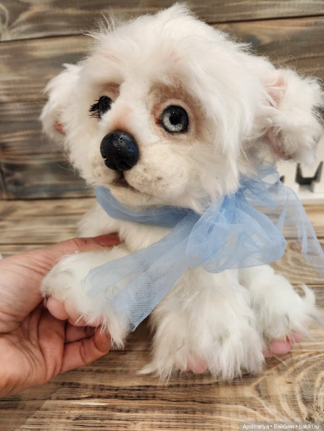 Барфи-белый щенок — Авторские мишки Тедди и друзья: фото