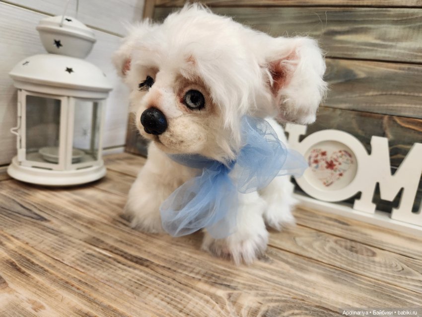 Барфи-белый щенок — Авторские мишки Тедди и друзья: фото (фото 7)