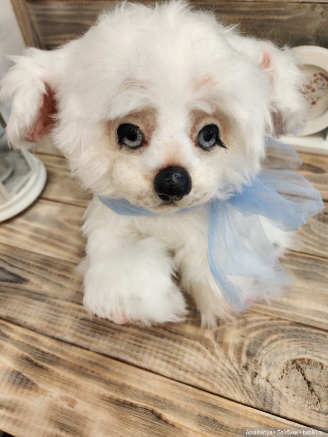 Барфи-белый щенок — Авторские мишки Тедди и друзья: фото