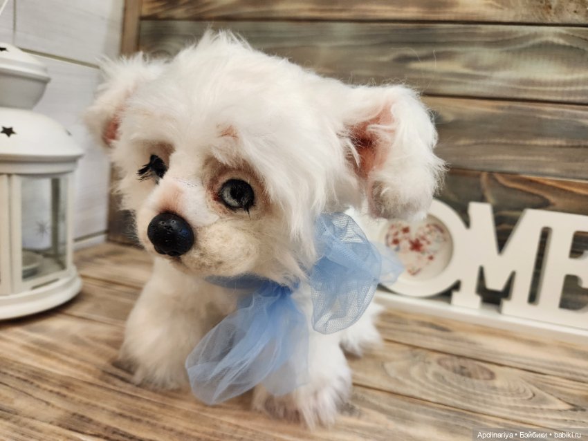 Барфи-белый щенок — Авторские мишки Тедди и друзья: фото (фото 8)