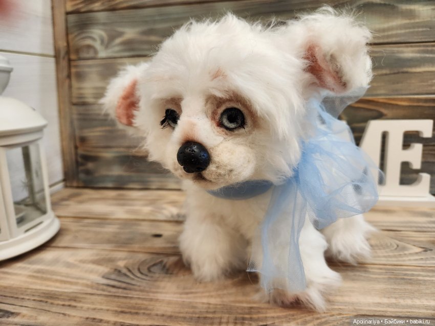 Барфи-белый щенок — Авторские мишки Тедди и друзья: фото