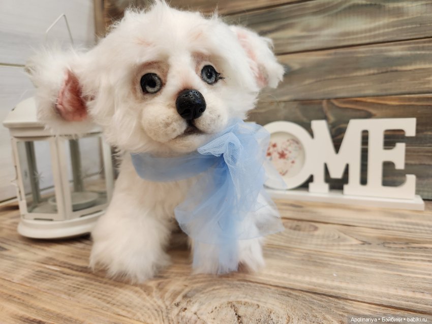 Барфи-белый щенок — Авторские мишки Тедди и друзья: фото