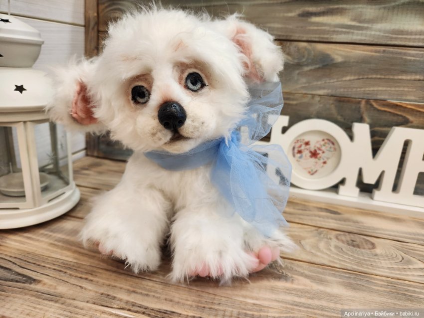 Барфи-белый щенок — Авторские мишки Тедди и друзья: фото (фото 4)