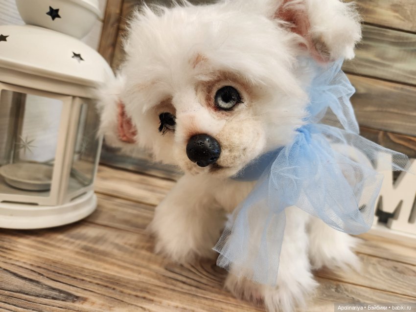 Барфи-белый щенок — Авторские мишки Тедди и друзья: фото (фото 2)