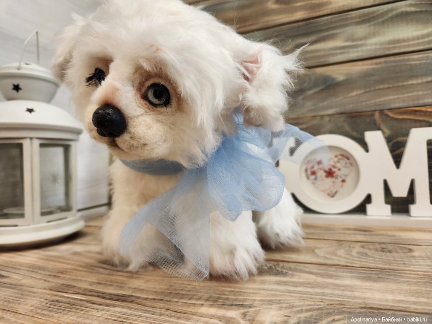 Барфи-белый щенок — Авторские мишки Тедди и друзья: фото