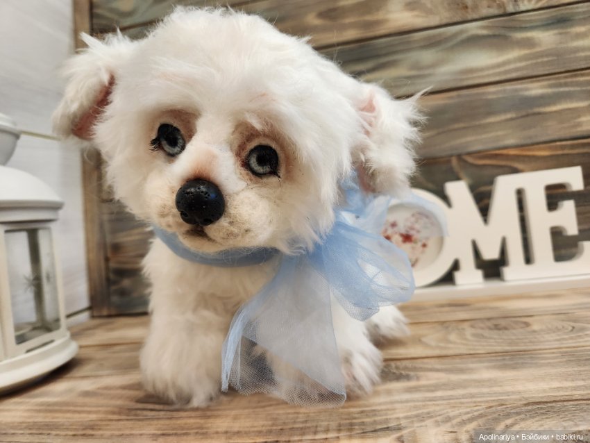 Барфи-белый щенок — Авторские мишки Тедди и друзья: фото