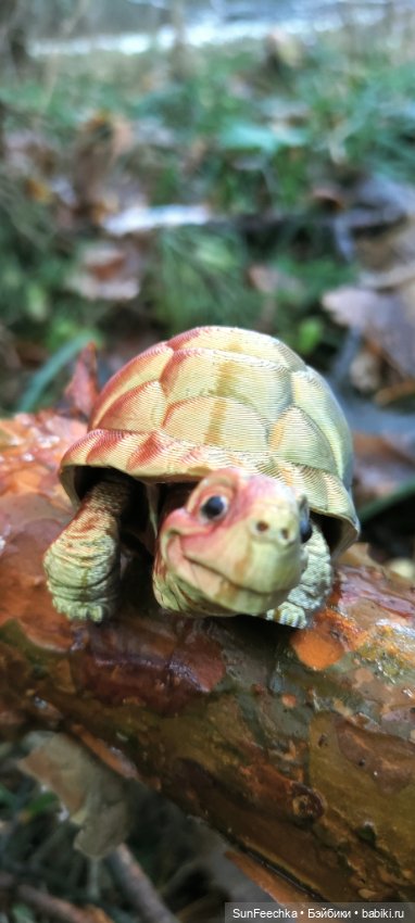 Сникерс и Ко — Игрушки Labubu (Лабубу) и The Monsters: Pop Mart (фото 2)