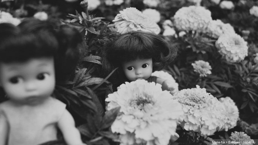 Маленькие леди в цветах — Игровые куклы разных производителей (Разное): редкие бренды