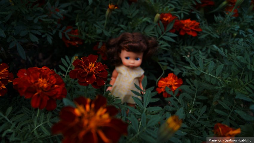 Маленькие леди в цветах — Игровые куклы разных производителей (Разное): редкие бренды (фото 3)