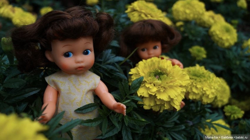 Маленькие леди в цветах — Игровые куклы разных производителей (Разное): редкие бренды (фото 10)