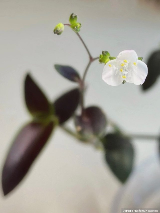 Варшава — Коллекционные экшн (фото 8)