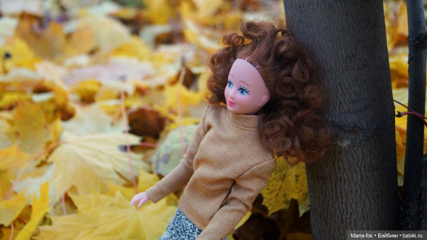 Осенний листопад — Аналоги Барби и куклы 1/6: клоны 90 (фото 4)