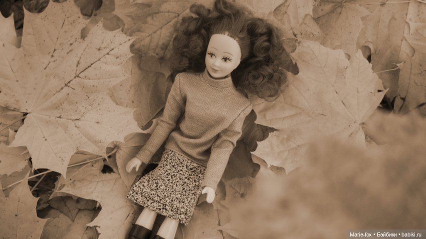 Осенний листопад — Аналоги Барби и куклы 1/6: клоны 90 (фото 9)