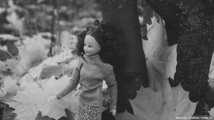 Осенний листопад — Аналоги Барби и куклы 1/6: клоны 90 (фото 3)
