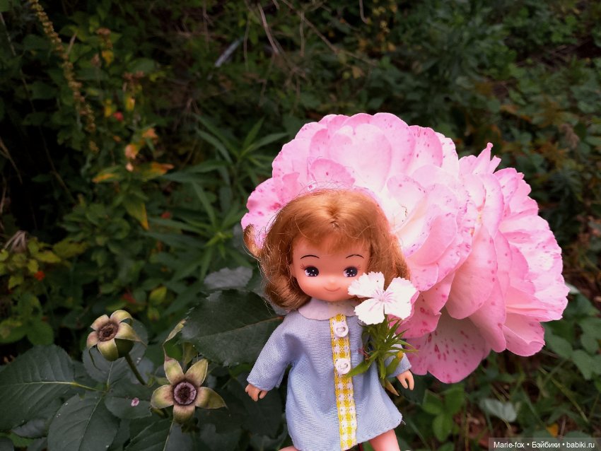 Милая маленькость и её прогулки (фото 9)