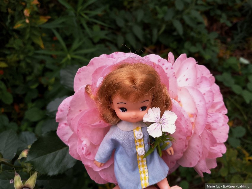 Милая маленькость и её прогулки (фото 10)