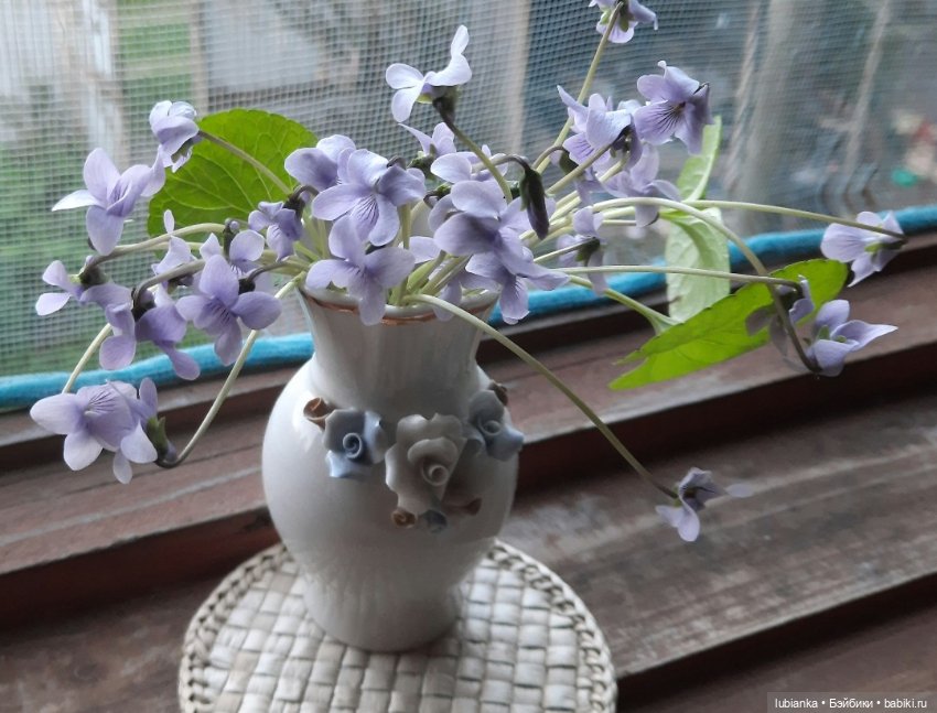 Был месяц май...🌷🌱🦋🌞 — Винтажные куклы ГДР (Немки): Бигги