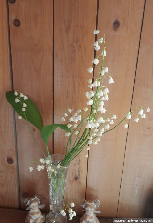 Был месяц май...🌷🌱🦋🌞 — Винтажные куклы ГДР (Немки): Бигги