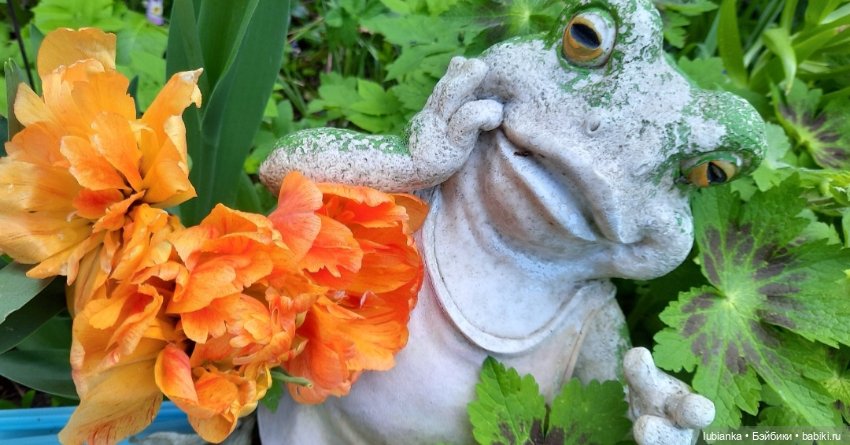 Был месяц май...🌷🌱🦋🌞 — Винтажные куклы ГДР (Немки): Бигги