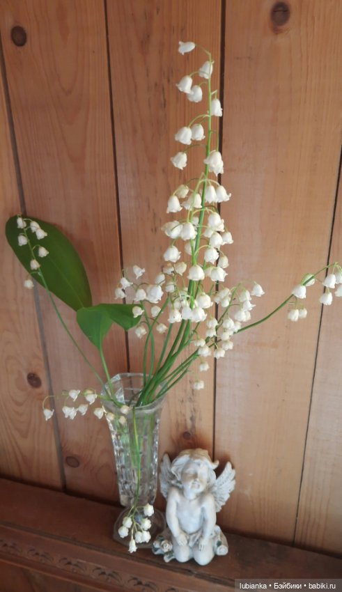 Был месяц май...🌷🌱🦋🌞 — Винтажные куклы ГДР (Немки): Бигги