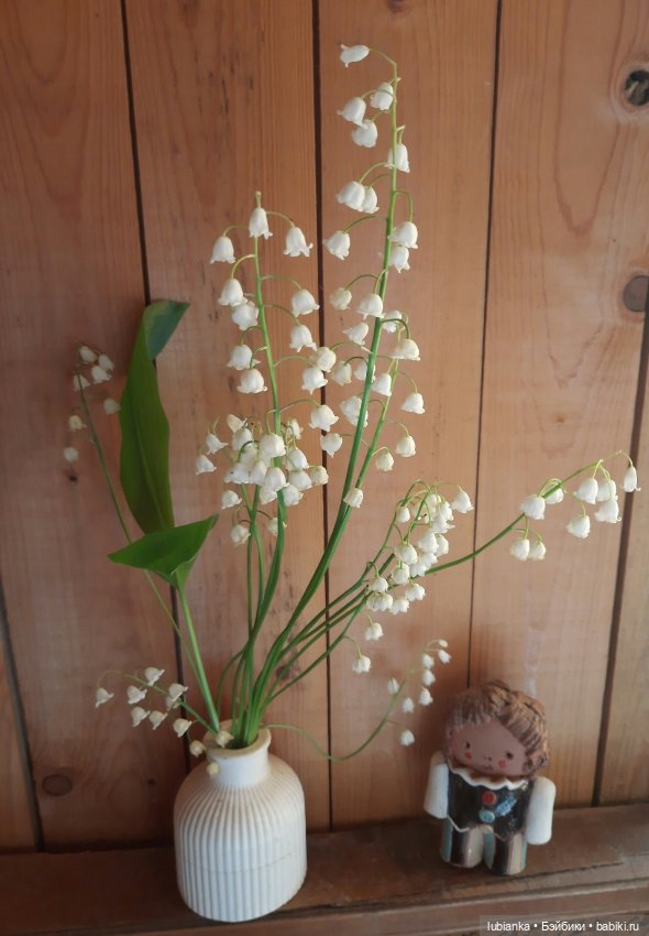 Был месяц май...🌷🌱🦋🌞 — Винтажные куклы ГДР (Немки): Бигги