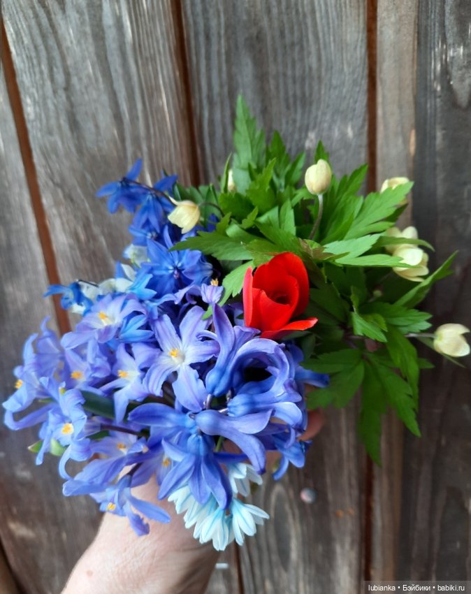 Был месяц май...🌷🌱🦋🌞 — Винтажные куклы ГДР (Немки): Бигги