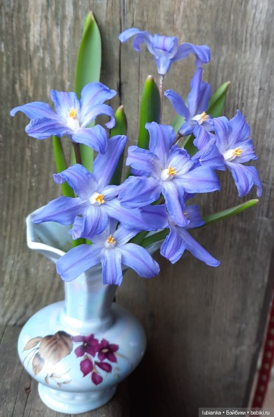 Был месяц май...🌷🌱🦋🌞 — Винтажные куклы ГДР (Немки): Бигги