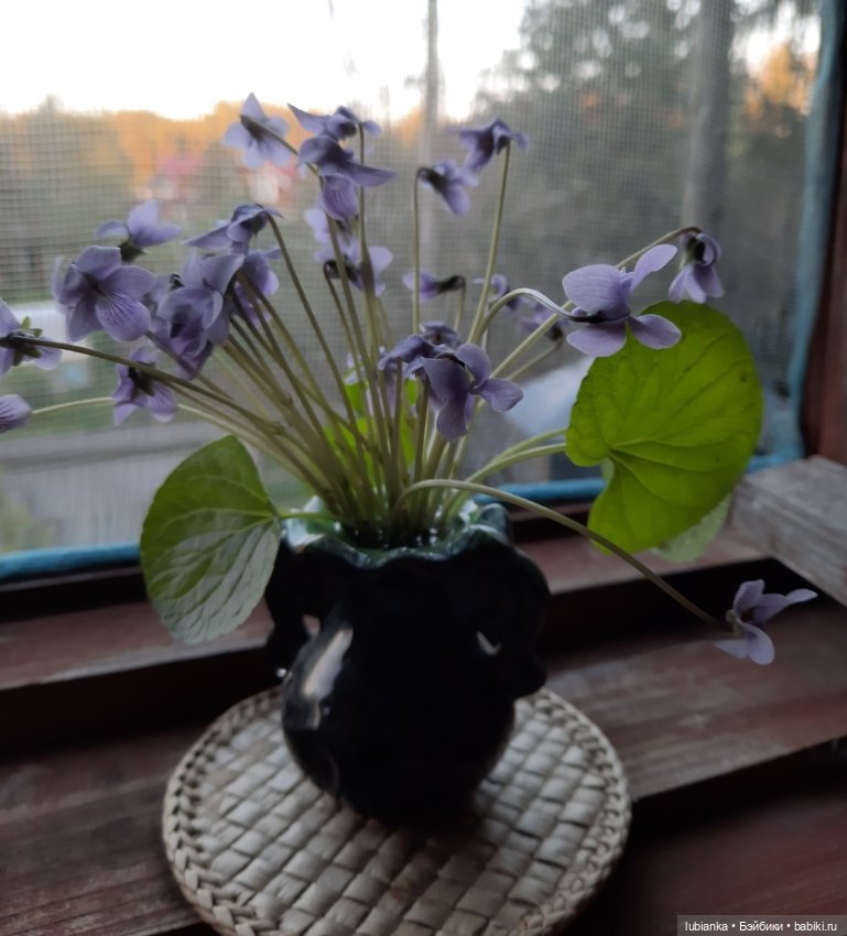 Был месяц май...🌷🌱🦋🌞 — Винтажные куклы ГДР (Немки): Бигги