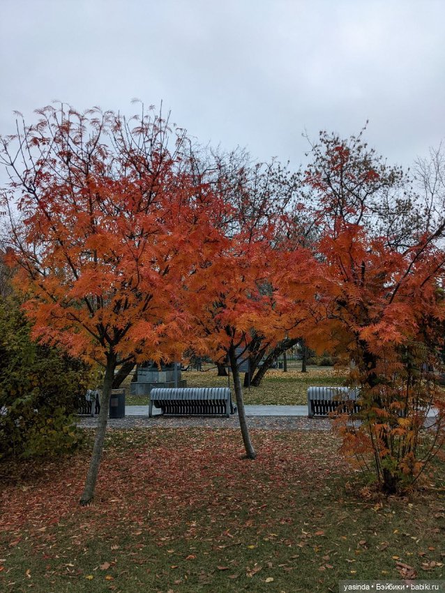 Очей очарованье — Игровые куклы Zwergnase (Цвергназе) Junior: Джуниор