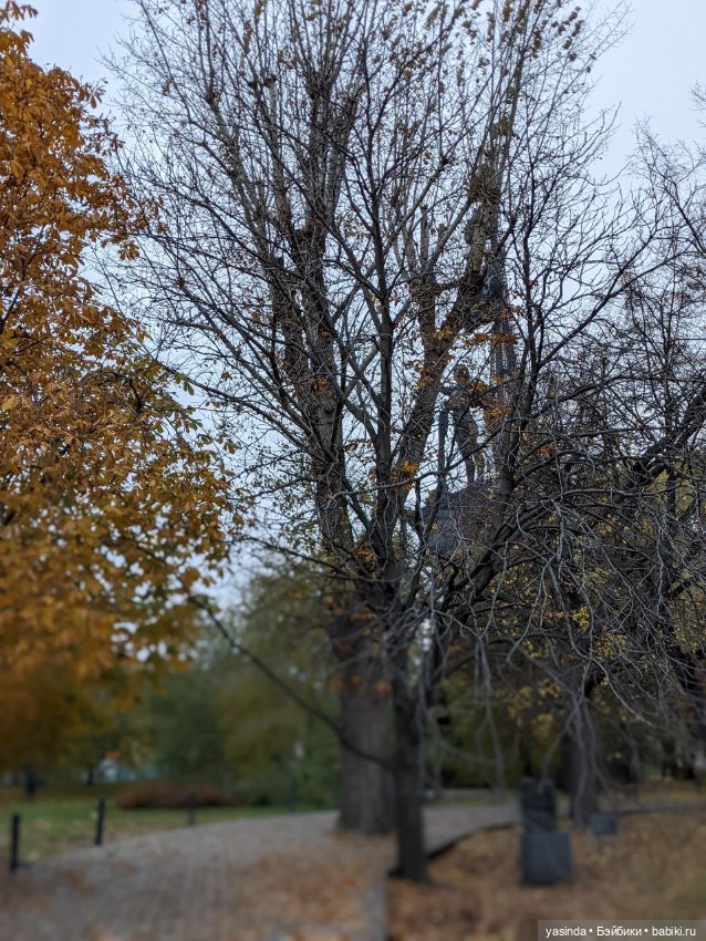 Очей очарованье — Игровые куклы Zwergnase (Цвергназе) Junior: Джуниор