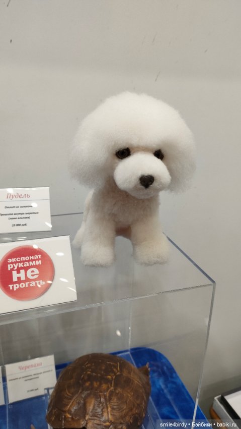 "Hello Teddy!" на Тишинке 6-8.12.24. Часть 1