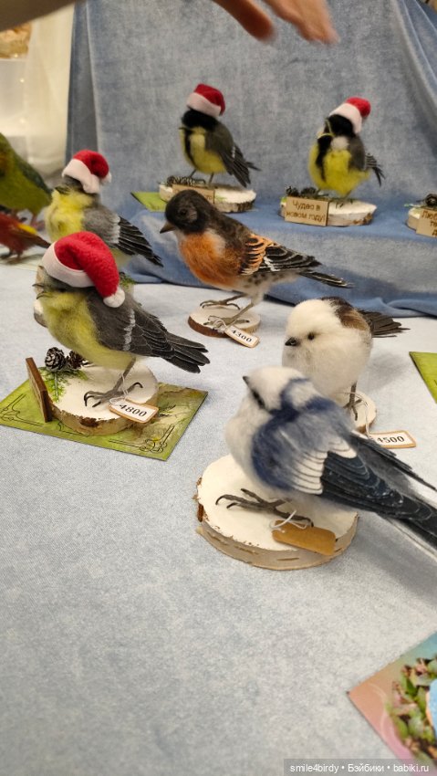 "Hello Teddy!" на Тишинке 6-8.12.24. Часть 2