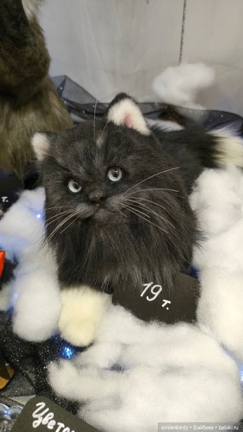 "Hello Teddy!" на Тишинке 6-8.12.24. Часть 7 (фото 4)