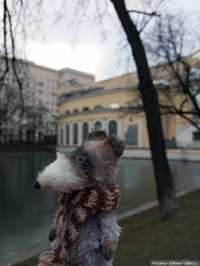 По улицам Москвы с енотом Боней