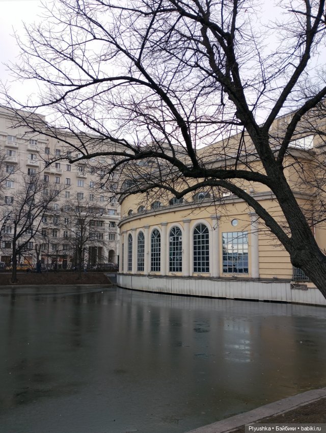 По улицам Москвы с енотом Боней (фото 2)