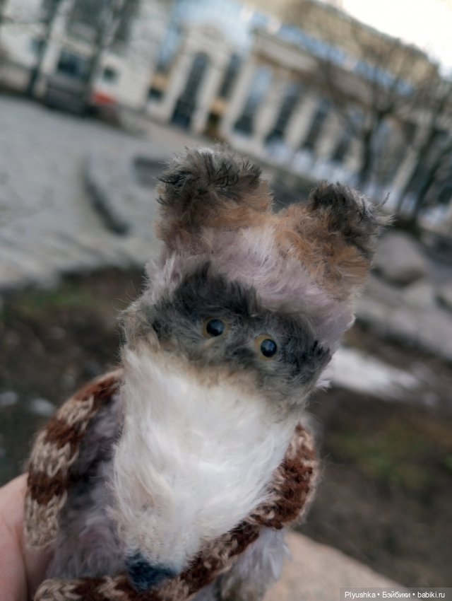 По улицам Москвы с енотом Боней (фото 4)