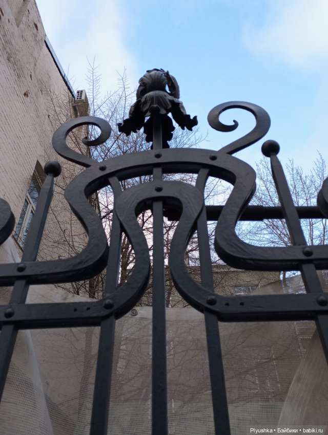 По улицам Москвы с енотом Боней (фото 5)