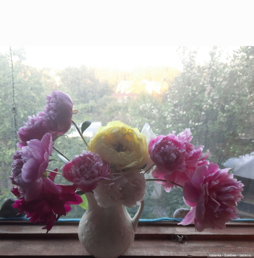 "Июнь...кудрявый и весёлый...во всё цветущее влюблённый"