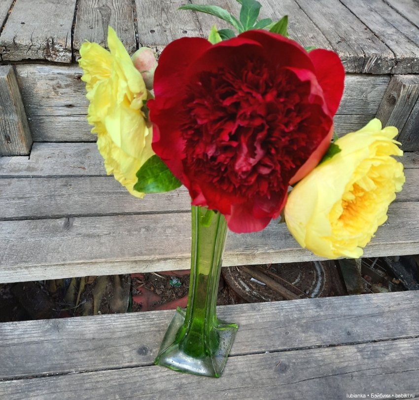 "Июнь...кудрявый и весёлый...во всё цветущее влюблённый"