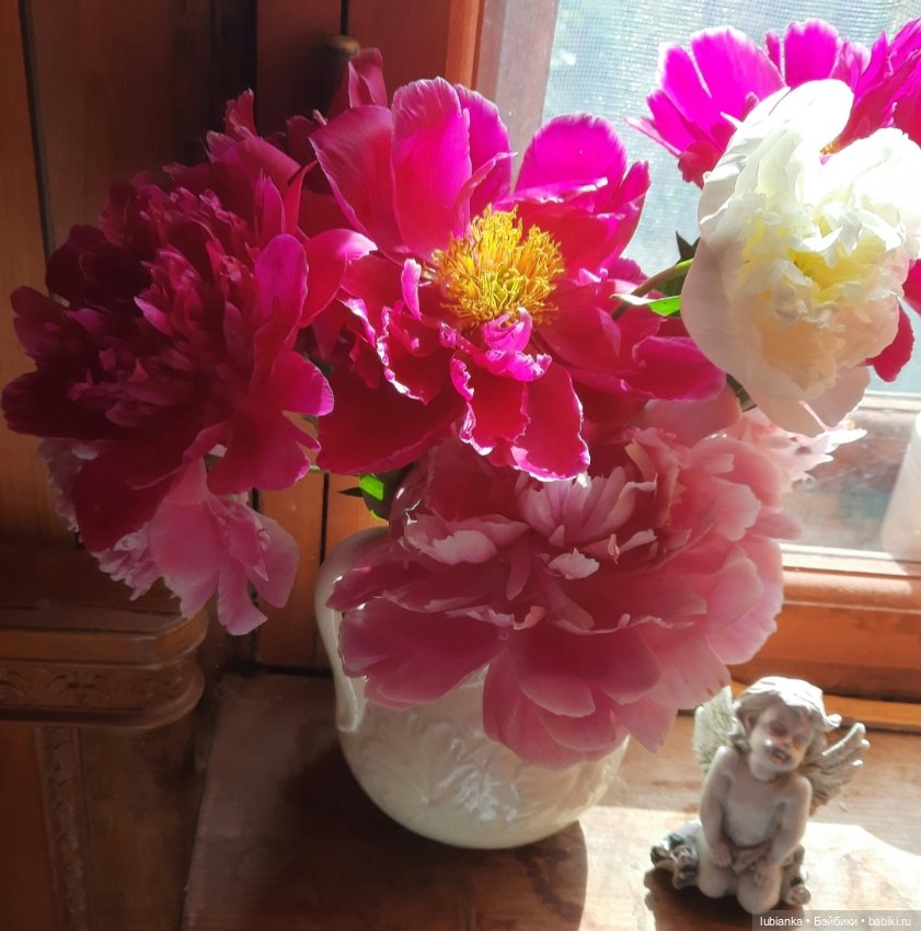 "Июнь...кудрявый и весёлый...во всё цветущее влюблённый"