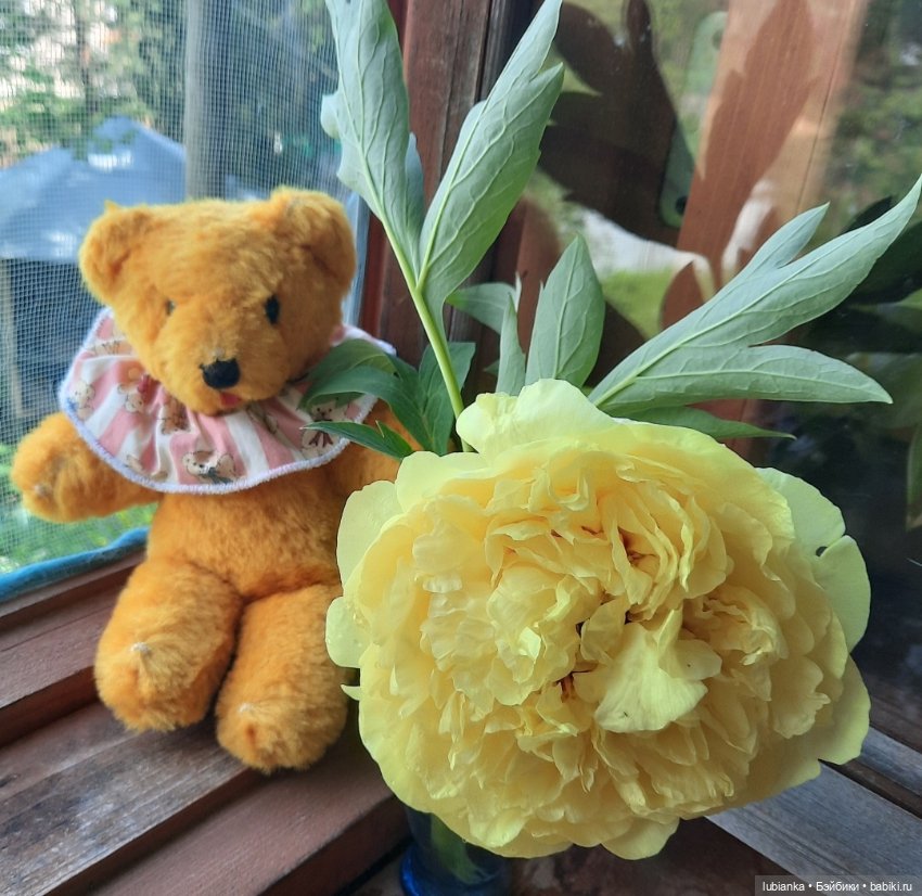 "Июнь...кудрявый и весёлый...во всё цветущее влюблённый" (фото 5)