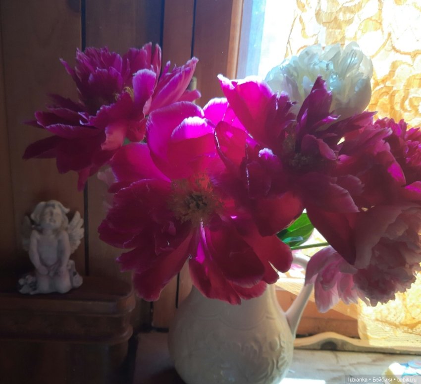 "Июнь...кудрявый и весёлый...во всё цветущее влюблённый"