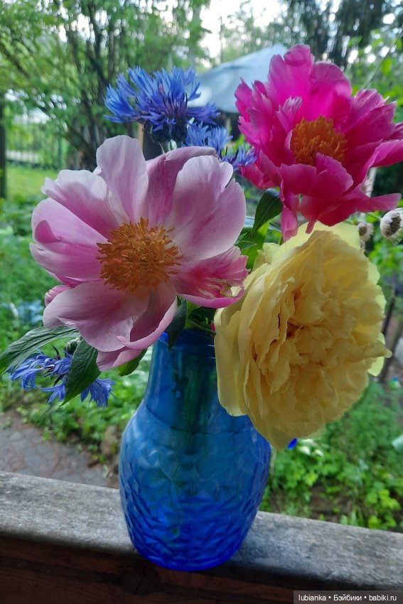 "Июнь...кудрявый и весёлый...во всё цветущее влюблённый"