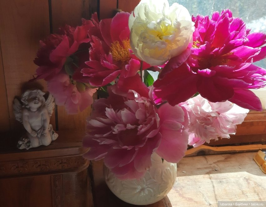 "Июнь...кудрявый и весёлый...во всё цветущее влюблённый"