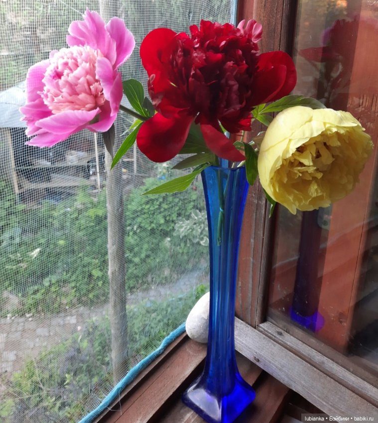 "Июнь...кудрявый и весёлый...во всё цветущее влюблённый"