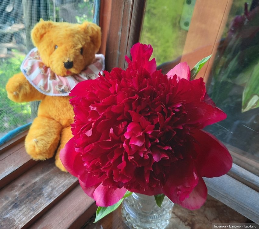 "Июнь...кудрявый и весёлый...во всё цветущее влюблённый" (фото 4)