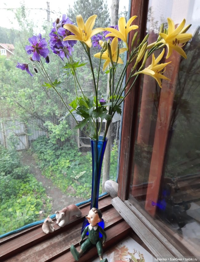 "Июнь...кудрявый и весёлый...во всё цветущее влюблённый"