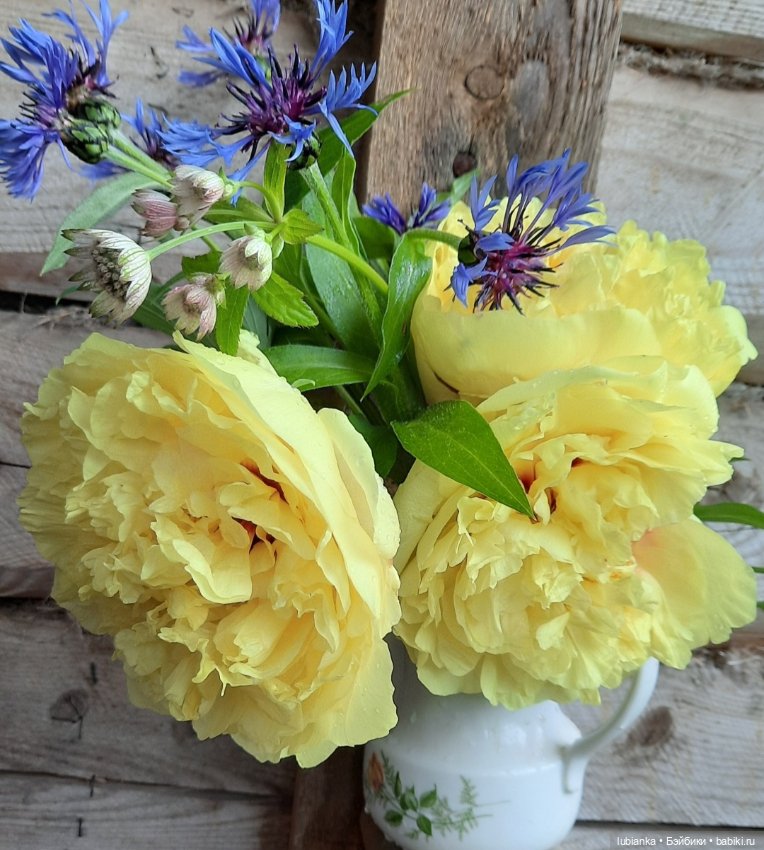 "Июнь...кудрявый и весёлый...во всё цветущее влюблённый" (фото 9)