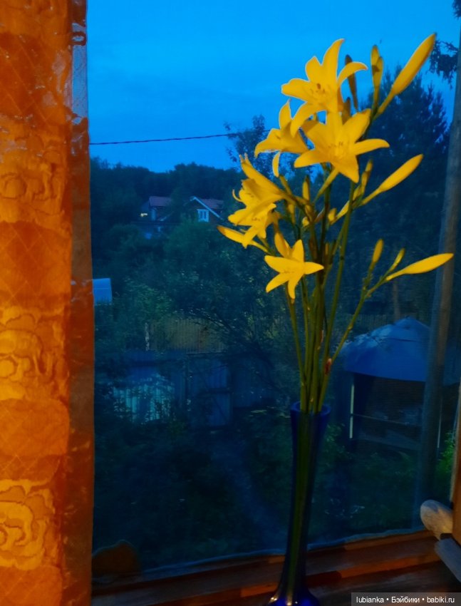 "Июнь...кудрявый и весёлый...во всё цветущее влюблённый"